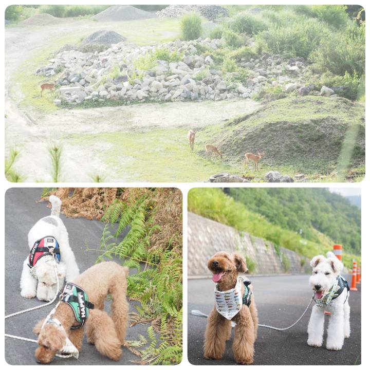 Ec4b516d 41af 4ce4 b320 a52b32e39ff2 1566096011947