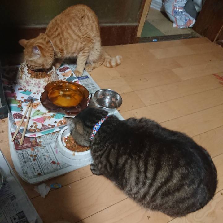 Ec4b63c8 64ad 4deb 9a00 c24f5ae32764 1655724174725