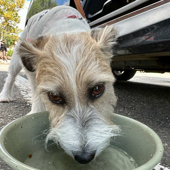 Ec4b7667 fc09 4051 9897 33d3989960f6 1697550794225