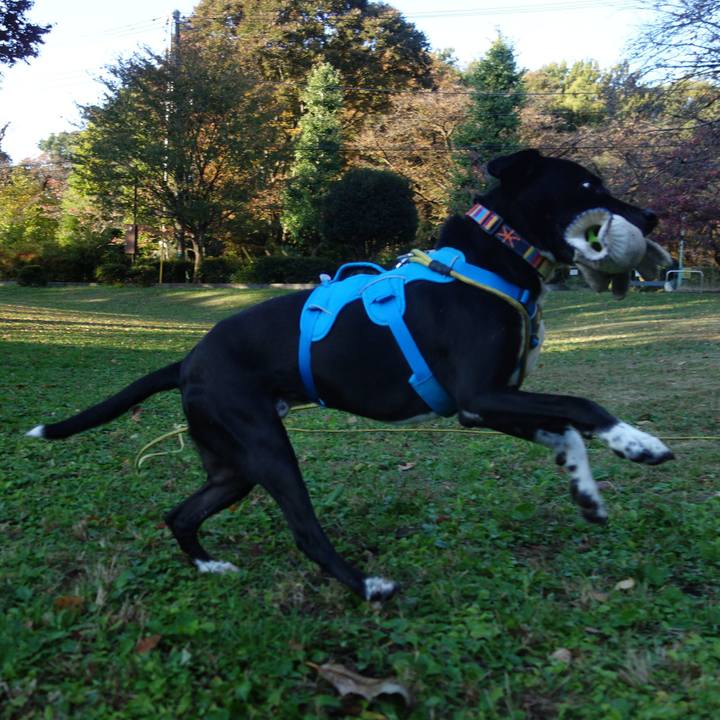 Ec4b7fdc 1aec 43c8 8acc 9c89d4ef2701 1605053075589