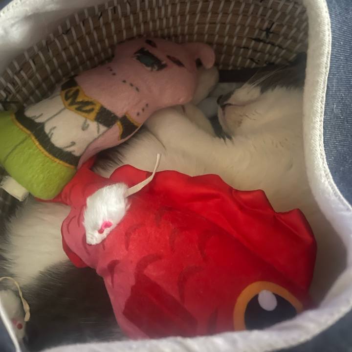 Ec4b8174 401a 44c5 9966 4d13b103cb93 1716801707661