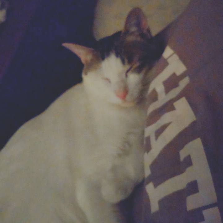 Ec4c127e ce87 4a24 9d97 e7f692725d38 1714823752285