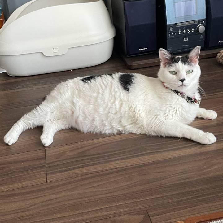 Ec4c246d 97f3 478e a65f 24c598dbc91e 1750305182678