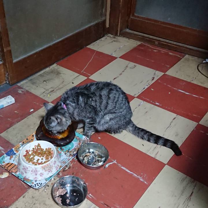 Ec4c53ba f583 4fd4 a4c2 6cd42d12473c 1581716133495