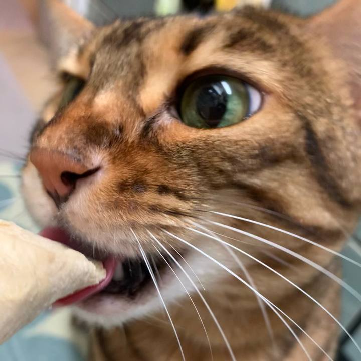 Ec4c562f aedd 45a3 b58d 92d51b78f250 1633171634272