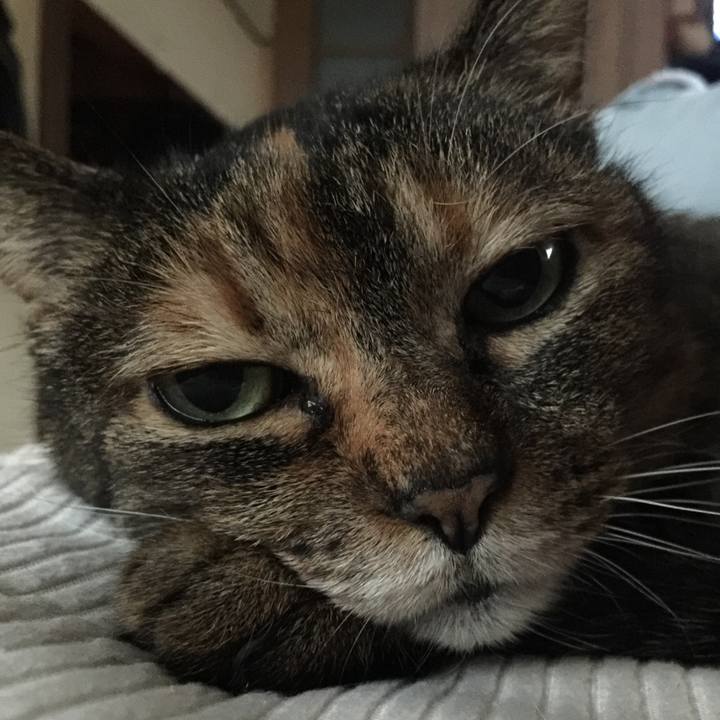 Ec4cc276 0d41 4319 af1a 07edb872c1ea 1526201695498