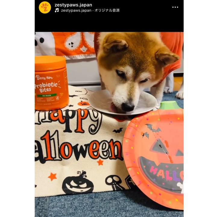 Ec4cd4d8 3473 4229 ba9a 34fcea299995 1730269171651