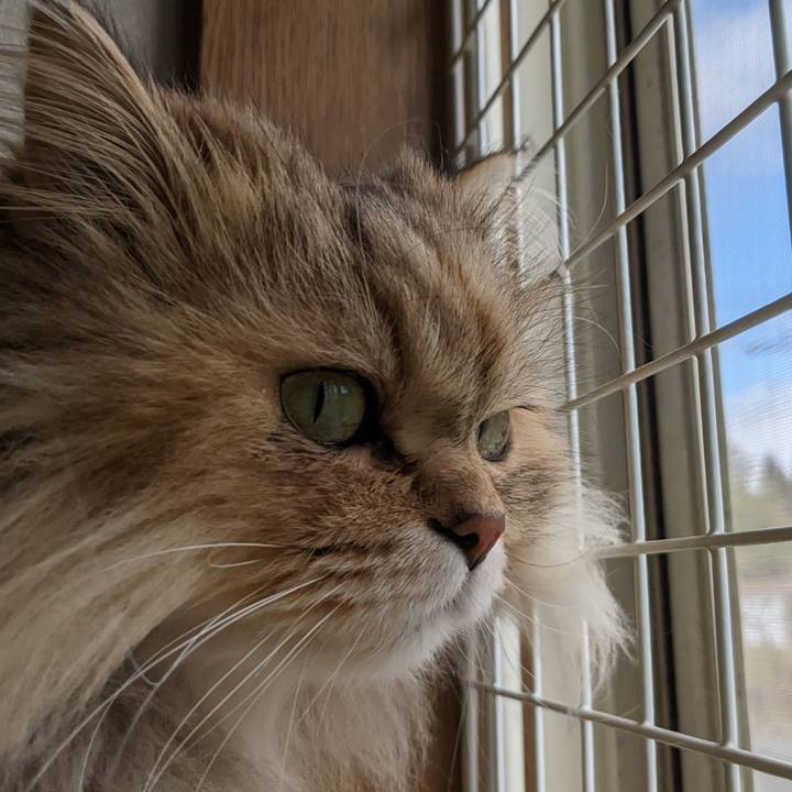 Ec4cea1b 8683 4006 99ce 9cc390736aea 1647224543070