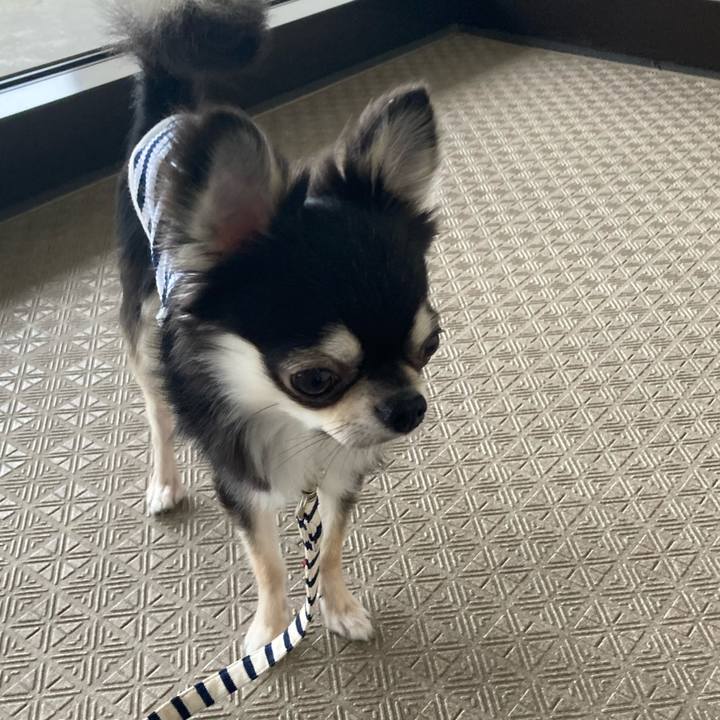 Ec4d1de1 bb09 4d8a 99a5 e06b13cb374c 1619702940692