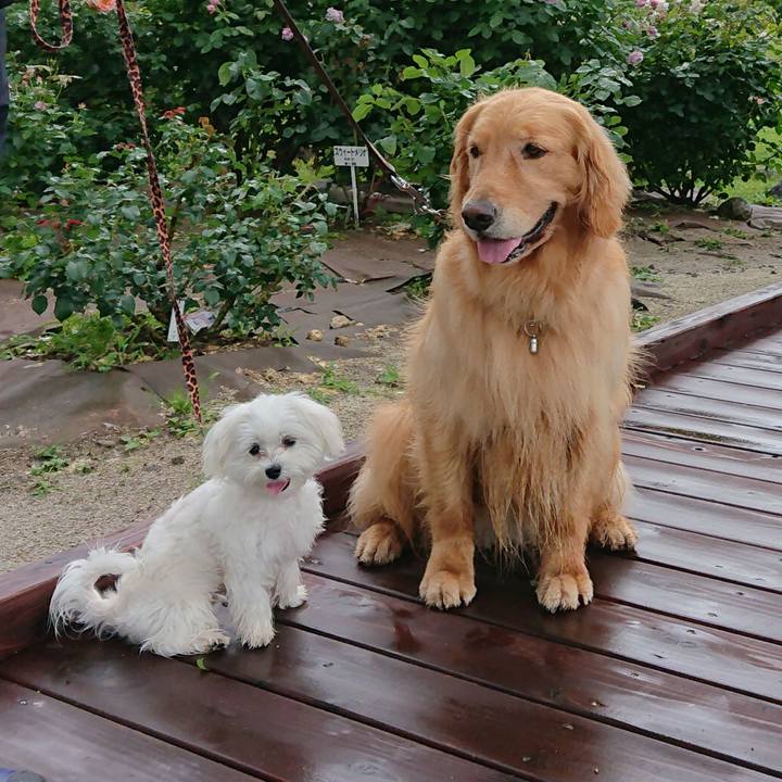 Ec4d2d5f 3664 436b 8f69 9a4fe5778feb 1560657047254