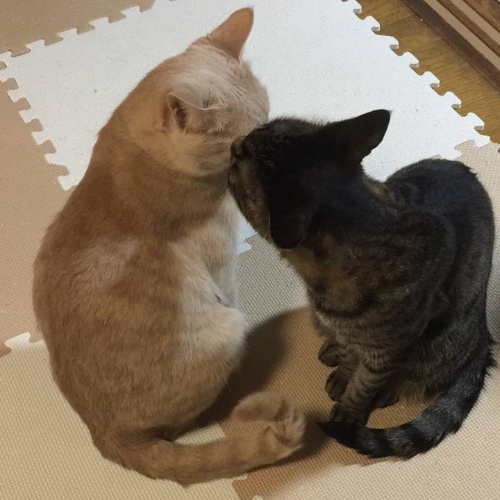 Ec4d6086 b371 4449 a5dd 9da1f123b2d0 1549904813575