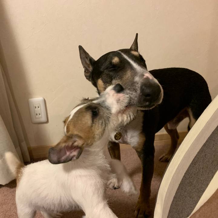 Ec4d8362 ebde 4a92 b8b7 c73ef6365009 1561810970974