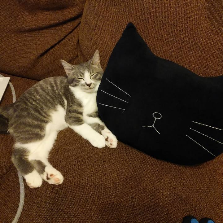 Ec4d8db6 6148 430a be62 20af4bed503f 1566479964066