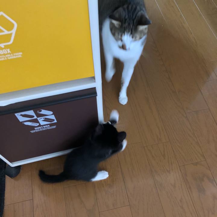 Ec4dcbcb 3835 453f 8003 0957ea10f779 1538057348459