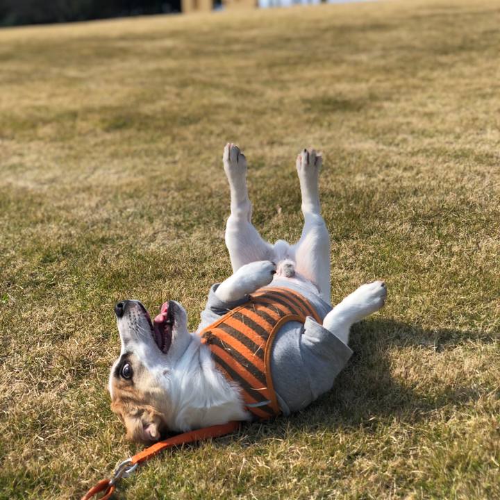 Ec4df62e fe6a 434d 8a78 ea425f1bc3c2 1552815151135