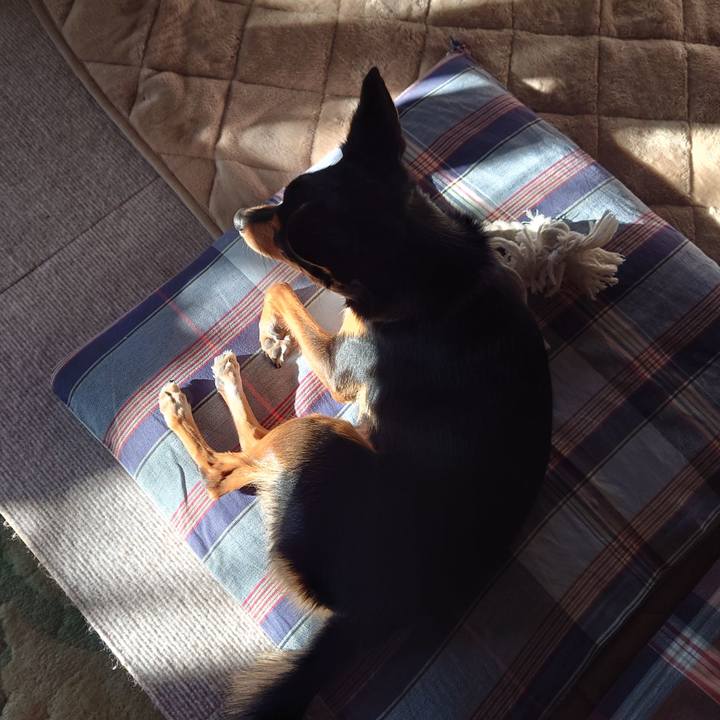 Ec4e0d08 604c 4268 a892 e175972e67a3 1764898910937