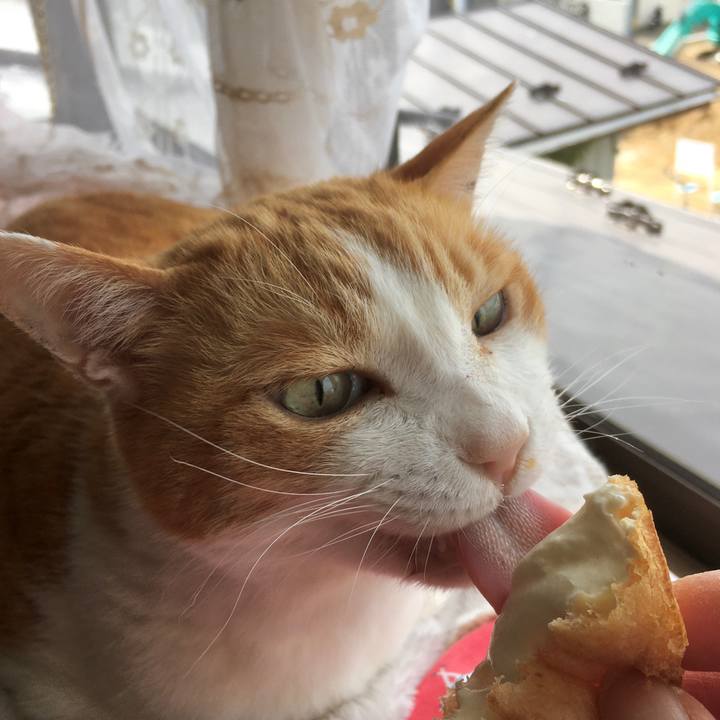 Ec4e960f 43c7 4b30 b23f 9af40984abe3 1620632843070