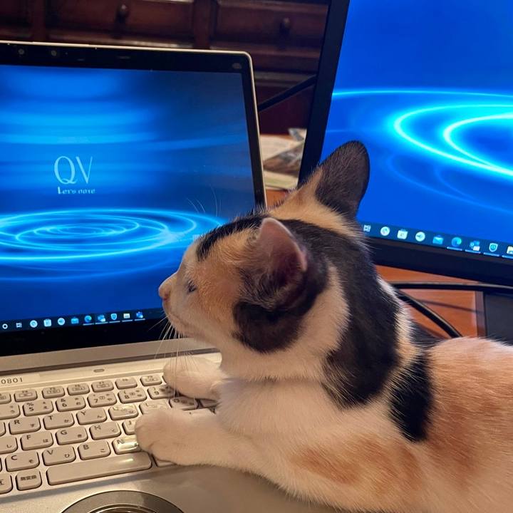 Ec4f42b5 c0bf 451d 9407 ff2678078033 1663984817363