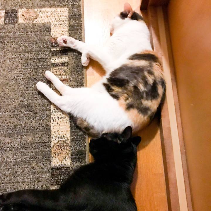 Ec4f5a46 dca2 416f 8139 0c230431fad2 1532960689102