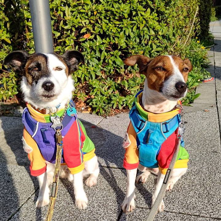 Ec4f6695 aa80 41a3 baf7 b1cf2ef02359 1648419740197