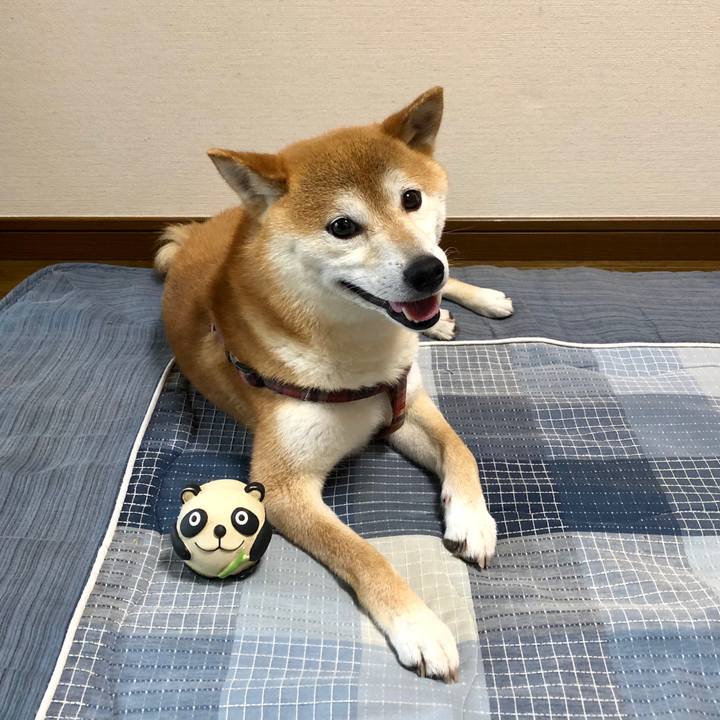 Ec4f85cd 7cd7 425a 9d69 cbd840214ad0 1563111010540