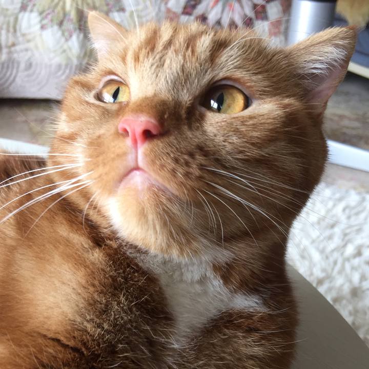 Ec4fce09 efd6 4ebf 9bb7 438b6a2a4d15 1529718005181