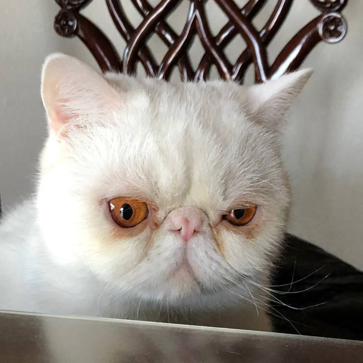 Ec4fdbed c826 4153 b684 1b8ce3f7c9dc 1612606603068