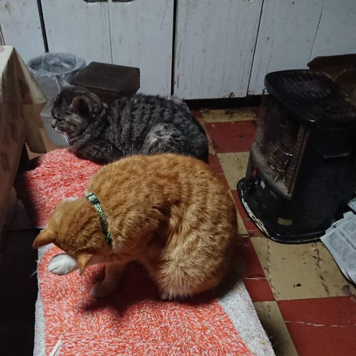 Ec5019a9 d9d2 42e5 b121 51fc59f11277 1583876593866