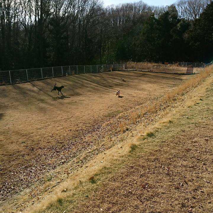 Ec50408a fb14 493e 9dab 30501873822b 1515329080996