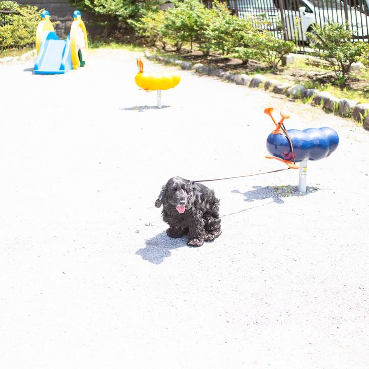 Ec505ccc c14f 4992 8ccd ae191e69ce7a 1556470649713