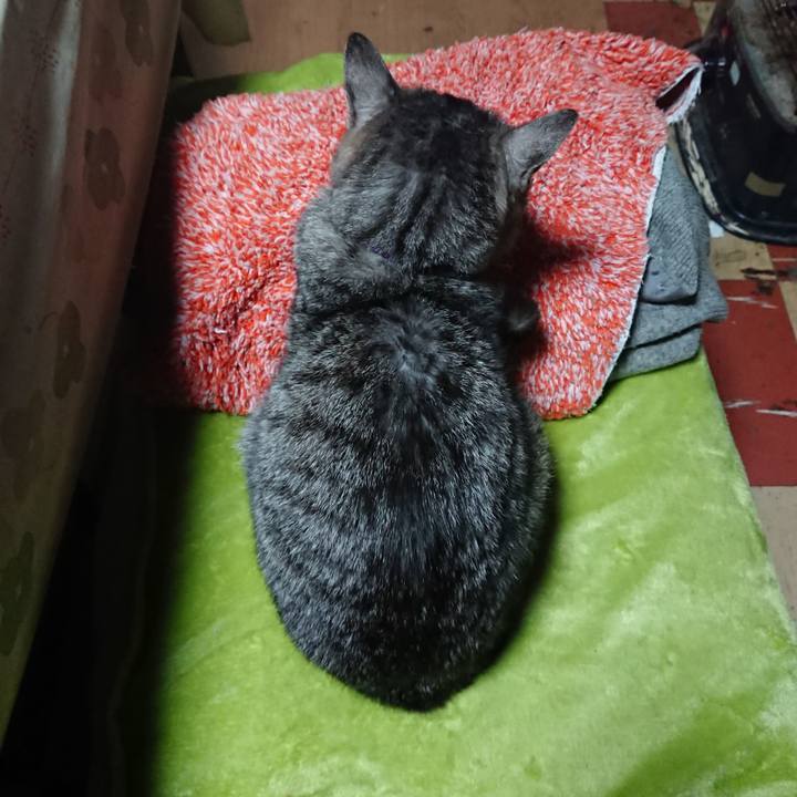 Ec50da45 8293 44f4 a698 ae4039724464 1581713971844