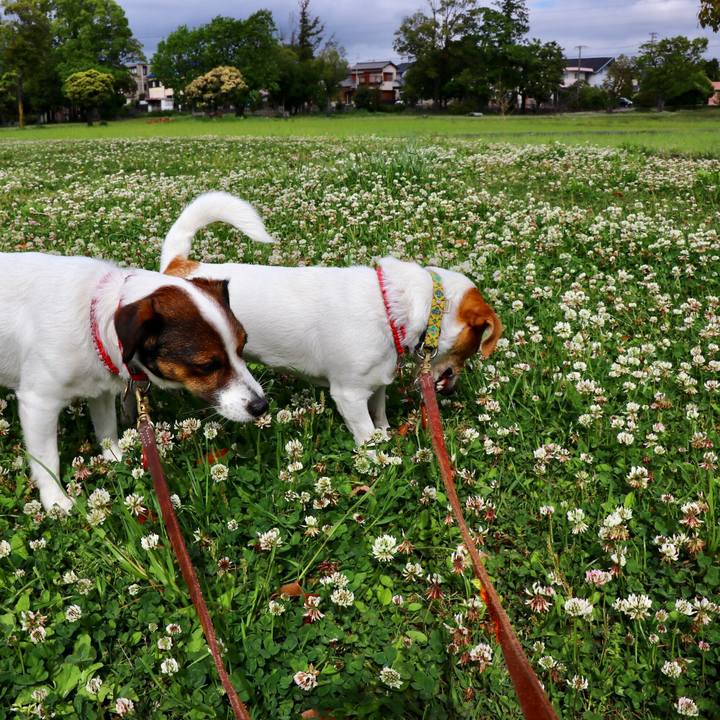 Ec51b324 a07b 4745 a926 a5372c527d37 1556328907816