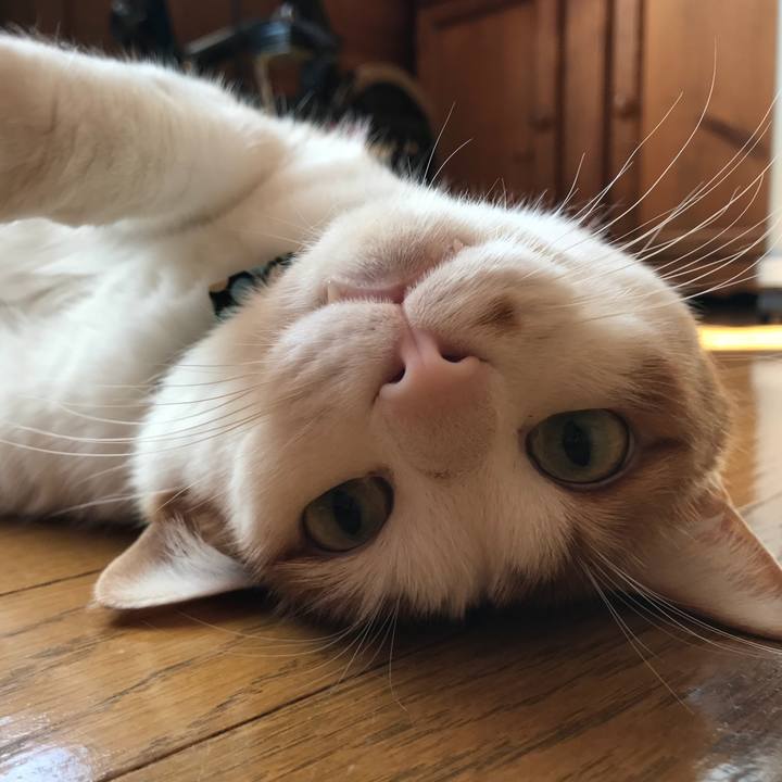 Ec51d0af 9d4a 42ac ac2f 86f28a331467 1528668404082