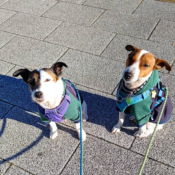 Ec51d54f 6437 4406 88df 8c45969b57df 1640909932370