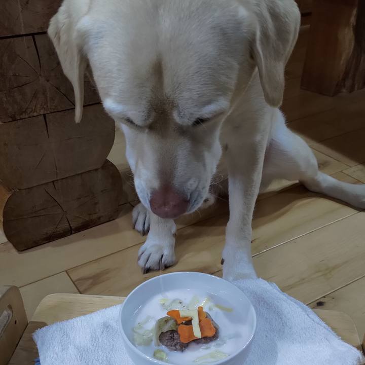 Ec51f28e 4143 40f6 8222 97a5fd0c1cb1 1677146698478