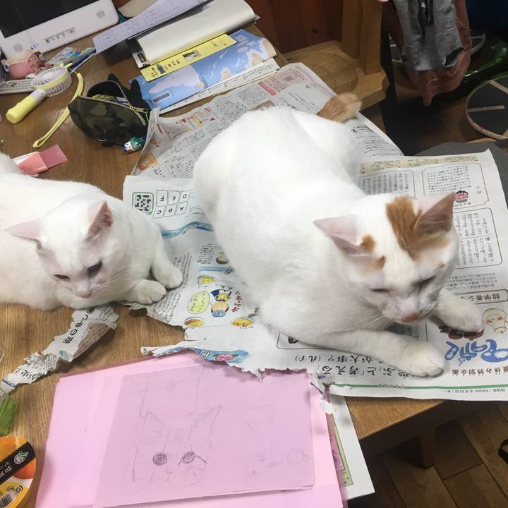 Ec523643 1549 4c52 8330 65a16986b9ce 1535028678060