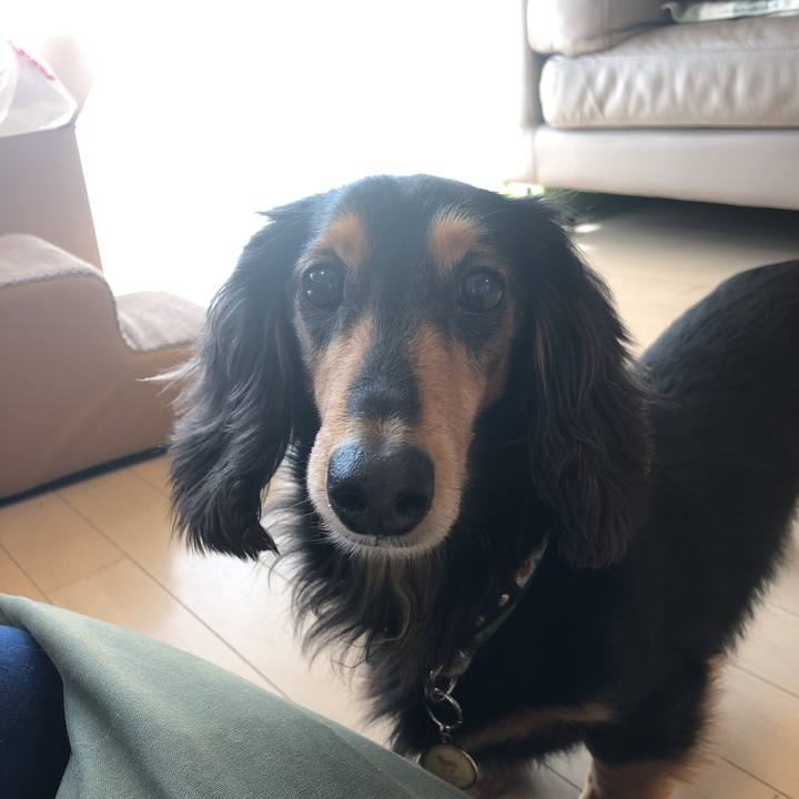 Ec526322 6614 401e b756 cda0daa46a79 1552799188668