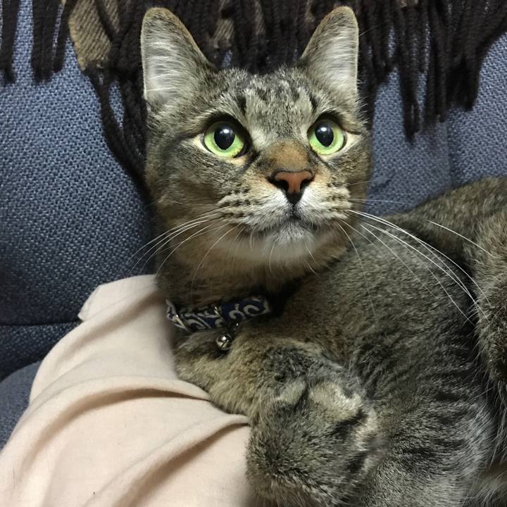 Ec526333 c364 4d49 bda0 07d1204298df 1527657225914