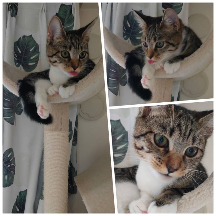 Ec527026 f437 41f1 b675 fd30bd5b247f 1634520806511