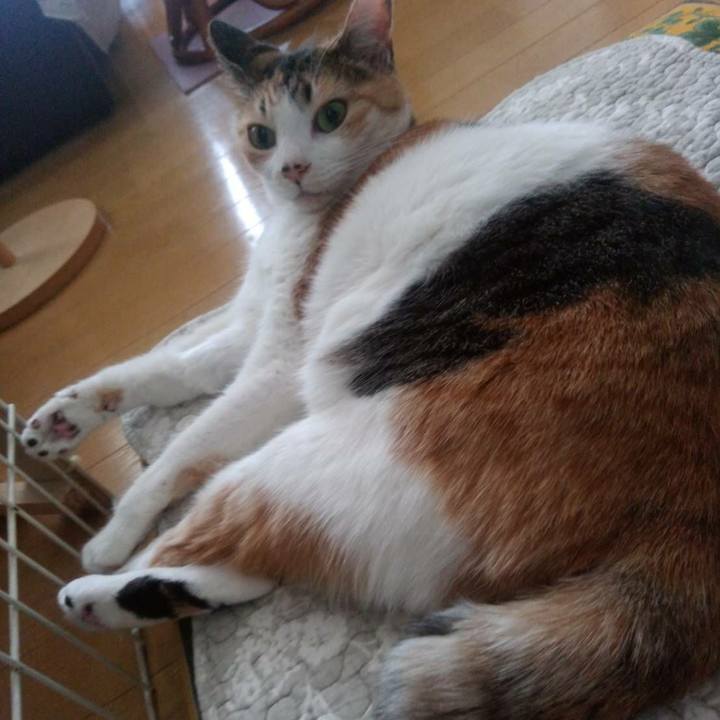 Ec5271da 3285 40e3 8a81 eefa2d4d04e3 1610538701153