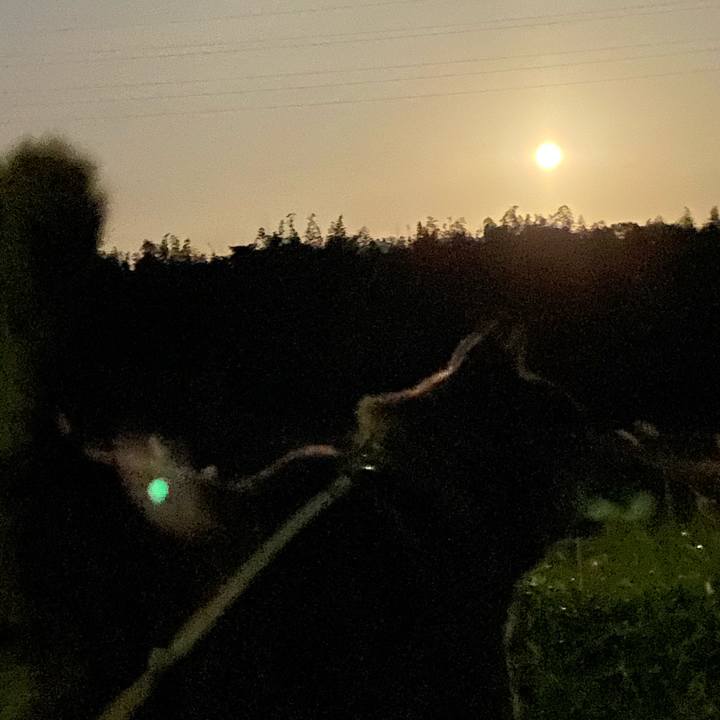 Ec52a0cf 10a8 4047 a5da bcae109632a7 1604134551666