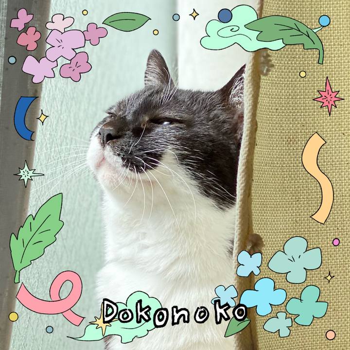 Ec52accf 7f2d 4015 8e2e ead186c8278d 1717821235429