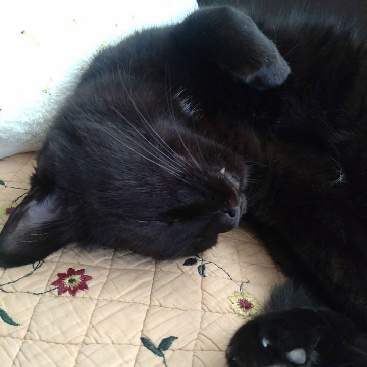 Ec52afe4 516f 44ab 8053 e5a0708fd582 1757812248906