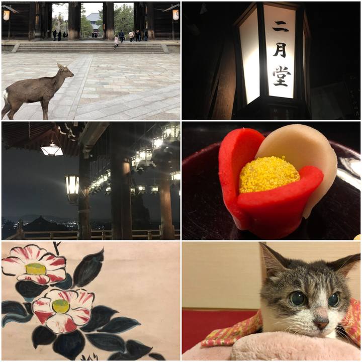 Ec52d042 0685 4422 a129 f95dec2be5a3 1551521359165