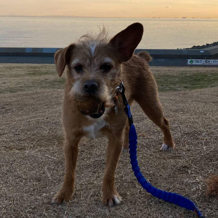 Ec533d52 90db 4794 8034 9133bd205b6c 1644832604229