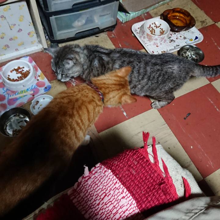 Ec534ba2 2806 488b ab32 8b829e3f7314 1566936638393