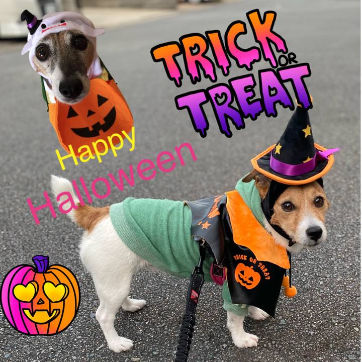 Ec53a781 1838 4d46 8fe7 e7a600a86f60 1635680585330