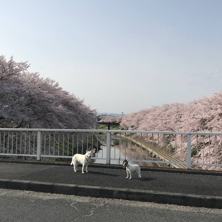 Ec53b2ba 046b 44a6 b2b6 b6b03a29ba83 1522548191317