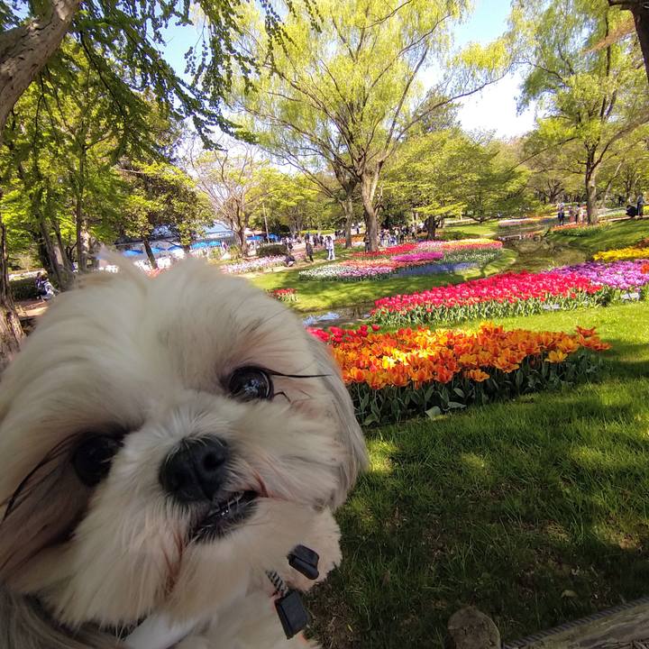 Ec540986 9a82 47fa 8add 59ab3b32fb5e 1618124221614