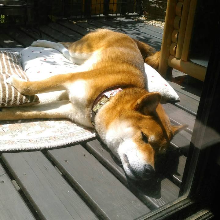 Ec540de2 01d6 43d0 b379 558247d222c8 1524103978587